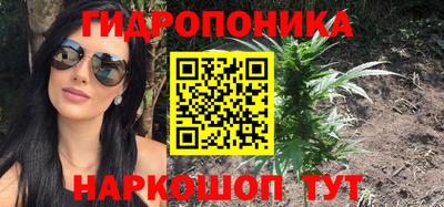 индика Ликино-Дулёво