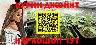 индика Ликино-Дулёво