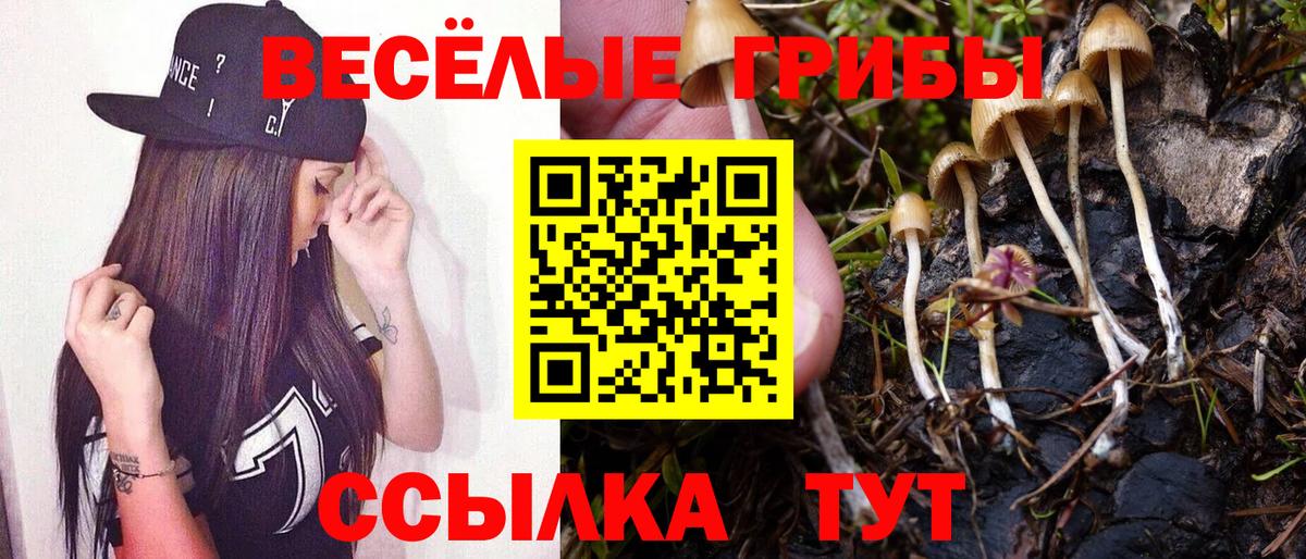 наркошоп  Вход с VPN  Армавир  Галлюциногенные грибы Magic Shrooms 